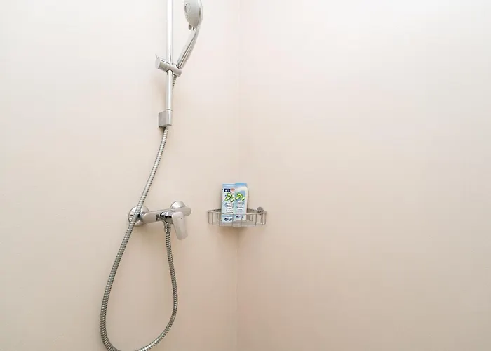 Apartamento Dioniz Luxury *